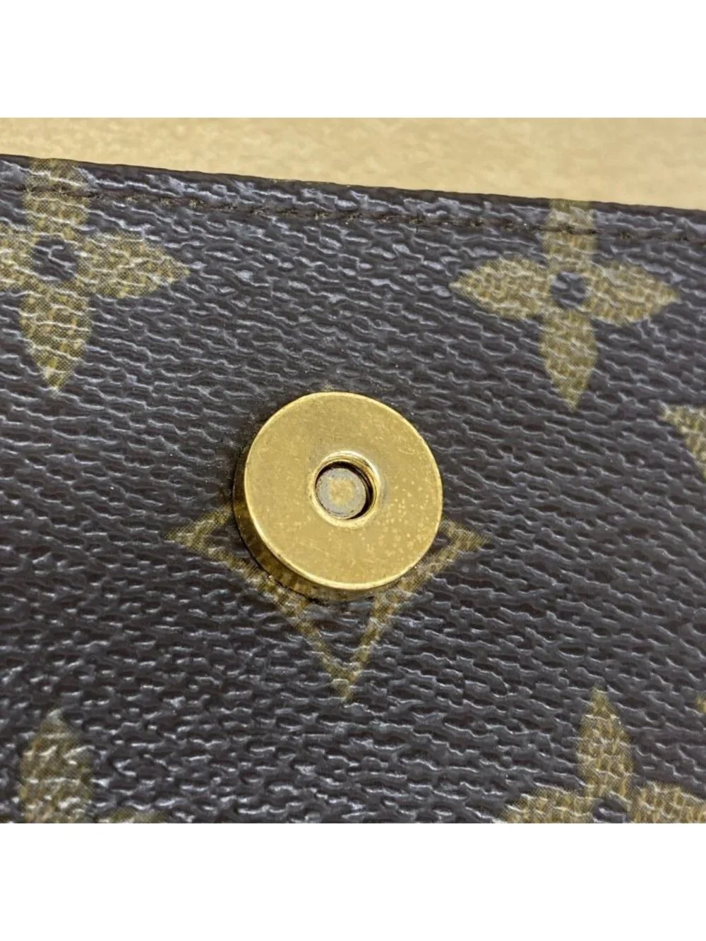 Louis Vuitton Waist Bag Monogram Pochette Florentine Brown